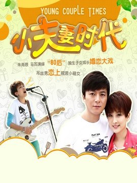 小夫妻时代剧情介绍_纵横剧情网