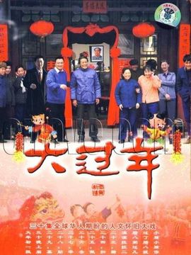 大过年剧情介绍_纵横剧情网