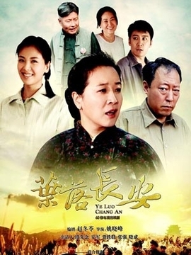 叶落长安剧情介绍_纵横剧情网