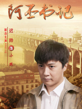 阿丕书记剧情介绍_纵横剧情网