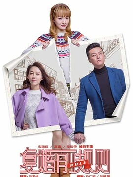 咱们俩复婚吧剧情介绍_纵横剧情网