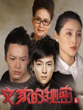 文家的秘密剧情介绍_纵横剧情网