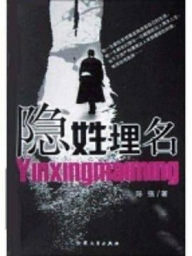 隐姓埋名剧情介绍_纵横剧情网