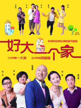 好大一个家剧情介绍_纵横剧情网