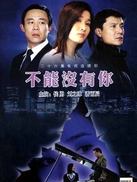 不能没有你剧情介绍_纵横剧情网