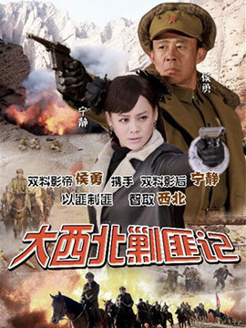 大西北剿匪记剧情介绍_纵横剧情网