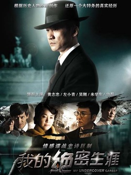 我的绝密生涯剧情介绍_纵横剧情网