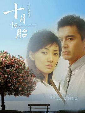 十月怀胎剧情介绍_纵横剧情网