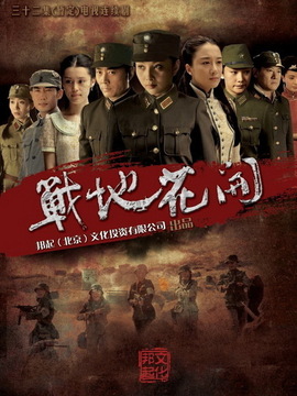 战地花开剧情介绍_纵横剧情网