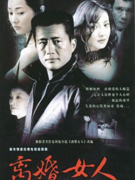 离婚女人剧情介绍_纵横剧情网