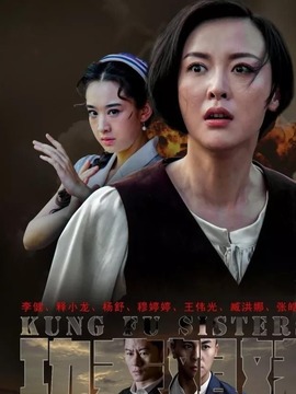 功夫姐妹剧情介绍_纵横剧情网