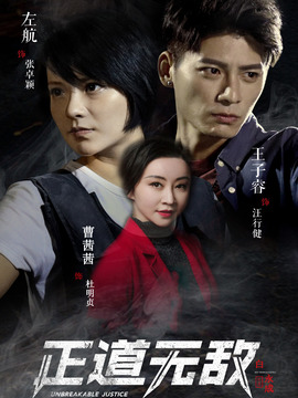 正道无敌剧情介绍_纵横剧情网