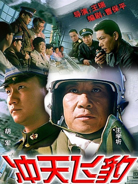 冲天飞豹剧情介绍_纵横剧情网