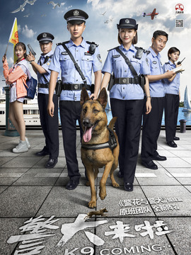警犬来啦剧情介绍_纵横剧情网