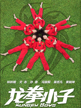 龙拳小子剧情介绍_纵横剧情网