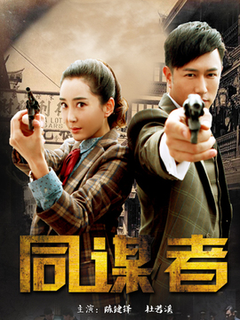 同谋者剧情介绍_纵横剧情网