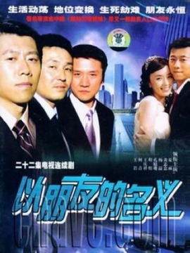以朋友的名义剧情介绍_纵横剧情网