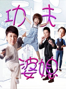 功夫婆媳剧情介绍_纵横剧情网