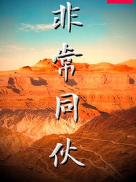 非常同伙剧情介绍_纵横剧情网