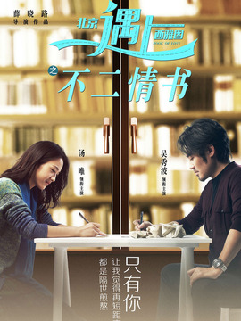 北京遇上西雅图之不二情书剧情介绍_纵横剧情网