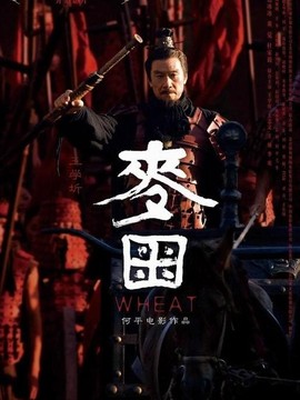 长平大战之麦田剧情介绍_纵横剧情网