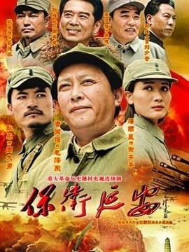 保卫延安剧情介绍_纵横剧情网