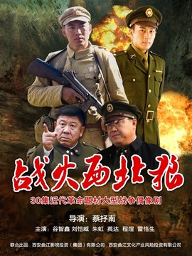 战火西北狼剧情介绍_纵横剧情网