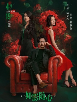 如影随心剧情介绍_纵横剧情网