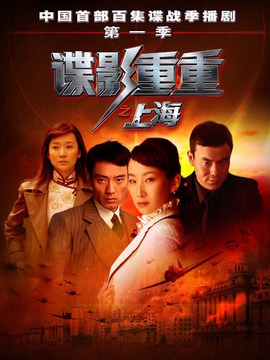 谍影重重之上海剧情介绍_纵横剧情网