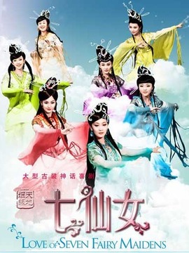 天地姻缘七仙女剧情介绍_纵横剧情网