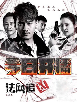 法网追凶第二季剧情介绍_纵横剧情网