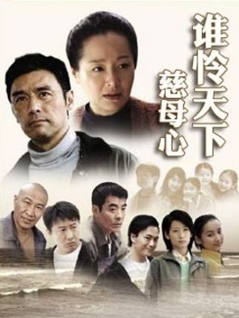 谁怜天下慈母心剧情介绍_纵横剧情网