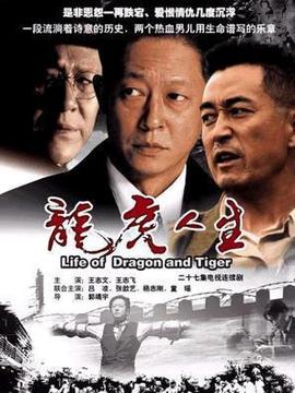龙虎人生剧情介绍_纵横剧情网