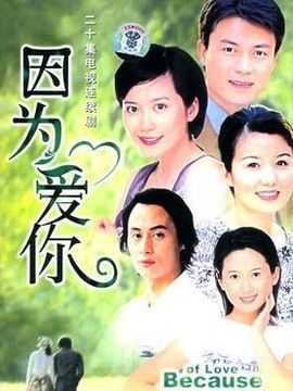 因为爱你剧情介绍_纵横剧情网