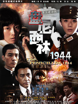 盘尼西林1944剧情介绍_纵横剧情网