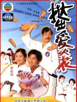 挞出爱火花剧情介绍_纵横剧情网