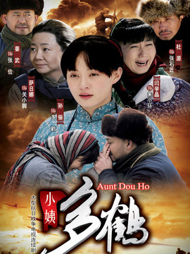 小姨多鹤剧情介绍_纵横剧情网