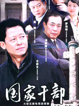 国家干部剧情介绍_纵横剧情网