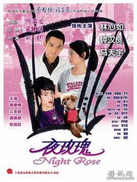 夜玫瑰剧情介绍_纵横剧情网