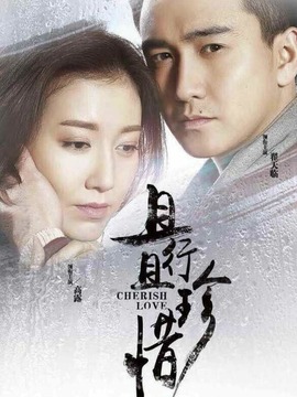 且行且珍惜剧情介绍_纵横剧情网