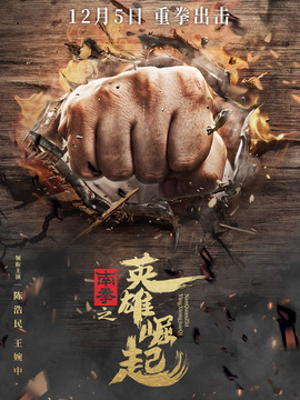 南拳之英雄崛起剧情介绍_纵横剧情网