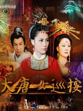 大唐女巡按剧情介绍_纵横剧情网