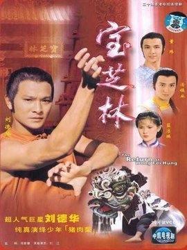 宝芝林剧情介绍_纵横剧情网