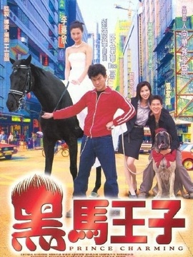黑马王子剧情介绍_纵横剧情网