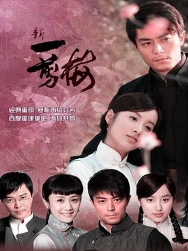新一剪梅剧情介绍_纵横剧情网