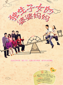 独生子女的婆婆妈妈剧情介绍_纵横剧情网