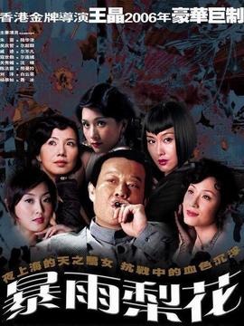 暴雨梨花剧情介绍_纵横剧情网
