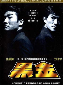 黑金剧情介绍_纵横剧情网