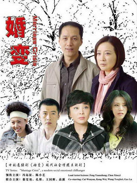 婚变剧情介绍_纵横剧情网