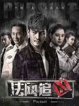 法网追凶第一季剧情介绍_纵横剧情网